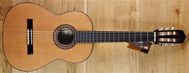 لیست قیمت 1401 گیتار کلاسیک ریموندو